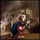 Underdog