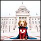 Underdog
