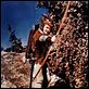 Robin Hood, König der Vagabunden : photo Errol Flynn, Michael Curtiz