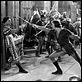 Robin Hood, König der Vagabunden : photo Errol Flynn, Michael Curtiz