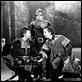 Robin Hood, König der Vagabunden : photo Errol Flynn, Michael Curtiz