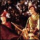 Robin Hood, König der Vagabunden : photo Errol Flynn, Michael Curtiz