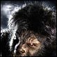 The Wolfman : photo Benicio Del Toro, Joe Johnston
