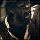 The Wolfman : photo Benicio Del Toro, Joe Johnston