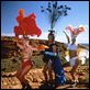 Priscilla - Königin der Wüste : photo Guy Pearce, Hugo Weaving, Stephan Elliott, Terence Stamp