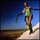 Priscilla - Königin der Wüste : photo Hugo Weaving, Stephan Elliott