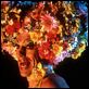 Priscilla - Königin der Wüste : photo Stephan Elliott, Terence Stamp