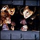 Die Goonies : photo Richard Donner