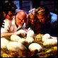 Jurassic Park
