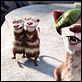Ice Age 3 - Die Dinosaurier sind los