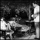 Hatari! : photo Elsa Martinelli, Howard Hawks, John Wayne