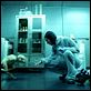 Splice - Das Genexperiment : photo Sarah Polley, Vincenzo Natali
