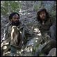 Che - Guerrilla : photo Benicio Del Toro, Steven Soderbergh