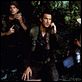 Nico : photo Andrew Davis, Steven Seagal