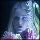 Das Leben vor meinen Augen : photo Evan Rachel Wood, Vadim Perelman