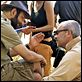 Safari : photo Kad Merad, Olivier Baroux