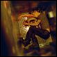 Enter The Void : photo Gaspar Noé