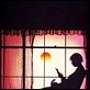 Die Farbe Lila : photo Danny Glover, Steven Spielberg, Whoopi Goldberg