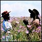 Die Farbe Lila : photo Steven Spielberg