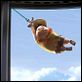 Oben : photo Bob Peterson, Pete Docter