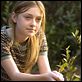 Die Bienenhüterin : photo Dakota Fanning, Gina Prince-Bythewood