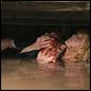 Eden Lake : photo James Watkins, Kelly Reilly, Michael Fassbender