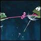 Küss den Frosch