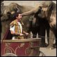 Bedtime Stories : photo Adam Sandler, Adam Shankman