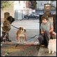 Das Hundehotel : photo Emma Roberts, Jake T. Austin, Thor Freudenthal