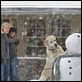 Marley & ich : photo David Frankel, Jennifer Aniston, Owen Wilson