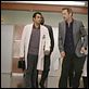 Dr. House
