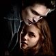 Twilight - Biss zum Morgengrauen : poster Catherine Hardwicke, Kristen Stewart, Robert Pattinson, Stephenie Meyer