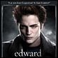 Twilight - Biss zum Morgengrauen : poster Catherine Hardwicke, Robert Pattinson, Stephenie Meyer