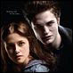 Twilight - Biss zum Morgengrauen : poster Catherine Hardwicke, Kristen Stewart, Robert Pattinson, Stephenie Meyer