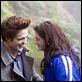 Twilight - Biss zum Morgengrauen : photo Catherine Hardwicke, Kristen Stewart, Robert Pattinson, Stephenie Meyer