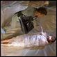 Dexter