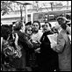 Celebrity : photo Kenneth Branagh, Leonardo DiCaprio, Sam Rockwell, Woody Allen