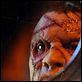 Punisher: War Zone : photo Dominic West, Lexi Alexander