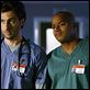 Scrubs - Die Anfänger : photo Donald Faison, Zach Braff