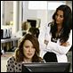 Scrubs - Die Anfänger : photo Christa Miller-Lawrence, Courteney Cox