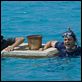 All Inclusive : photo Carlos Ponce, Kristen Bell, Kristin Davis, Malin Akerman, Peter Billingsley