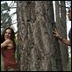 Dollhouse : photo Eliza Dushku, Harry J. Lennix