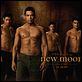 The Twilight Saga: New Moon - Bis(s) zur Mittagsstunde