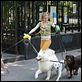 Whatever works - Liebe sich wer kann : photo Evan Rachel Wood, Woody Allen