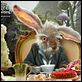Alice im Wunderland : photo Tim Burton