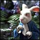 Alice im Wunderland : photo Tim Burton