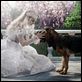 Alice im Wunderland : photo Anne Hathaway, Tim Burton