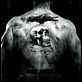 The Expendables : poster Sylvester Stallone