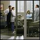 Grey's Anatomy - Die jungen Ärzte : photo Ellen Pompeo, Kevin McKidd, Patrick Dempsey