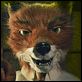Der fantastische Mr. Fox : photo Wes Anderson